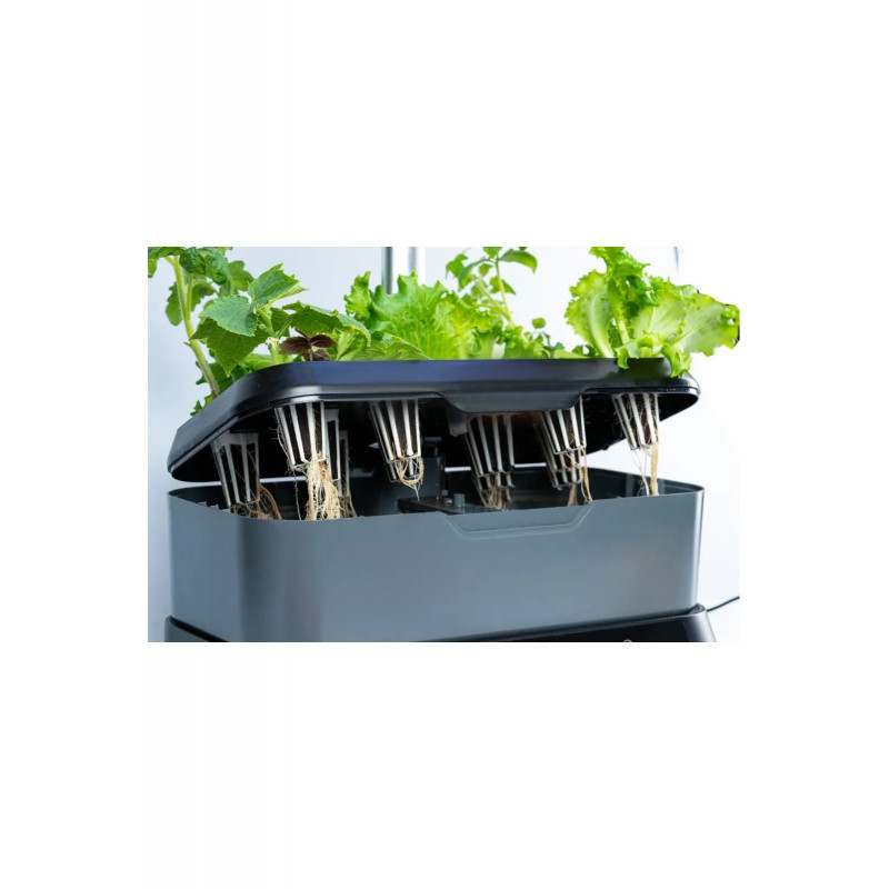 Экоферма In-Home Led Hydroponic Growing System (HGS30), Черный