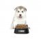 Миска для животных Pawbby Smart Pet Bowl (MG-ZN001), Черный