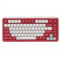 Клавиатура MIIIW ART Series Mechanical Keyboard Z830 (NES Play) (MWMKB04)